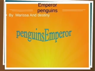 Emperor 
penguins 
● By Marissa And destiny 
 