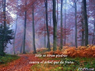 Sólo se tiran piedras contra el árbol que da fruto. PPsPPt.com