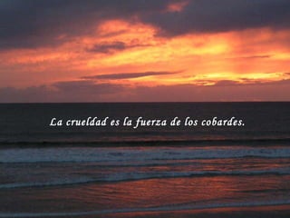 La crueldad es la fuerza de los cobardes.  