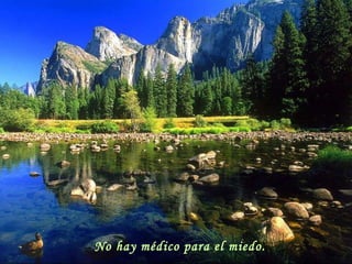 No hay médico para el miedo.  