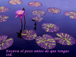 Excava el pozo antes de que tengas sed. 