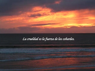 La crueldad es la fuerza de los cobardes.  
