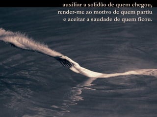 auxiliar a solidão de quem chegou, render-me ao motivo de quem partiu e aceitar a saudade de quem ficou. 