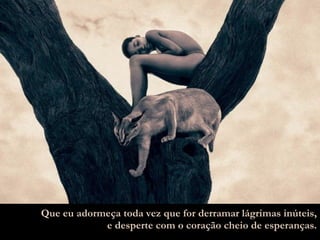 Que eu adormeça toda vez que for derramar lágrimas inúteis, e desperte com o coração cheio de esperanças. 