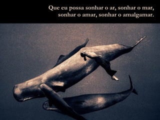 Que eu possa sonhar o ar, sonhar o mar, sonhar o amar, sonhar o amalgamar. 