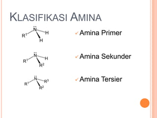 KlasifikasiAminaAmina Primer