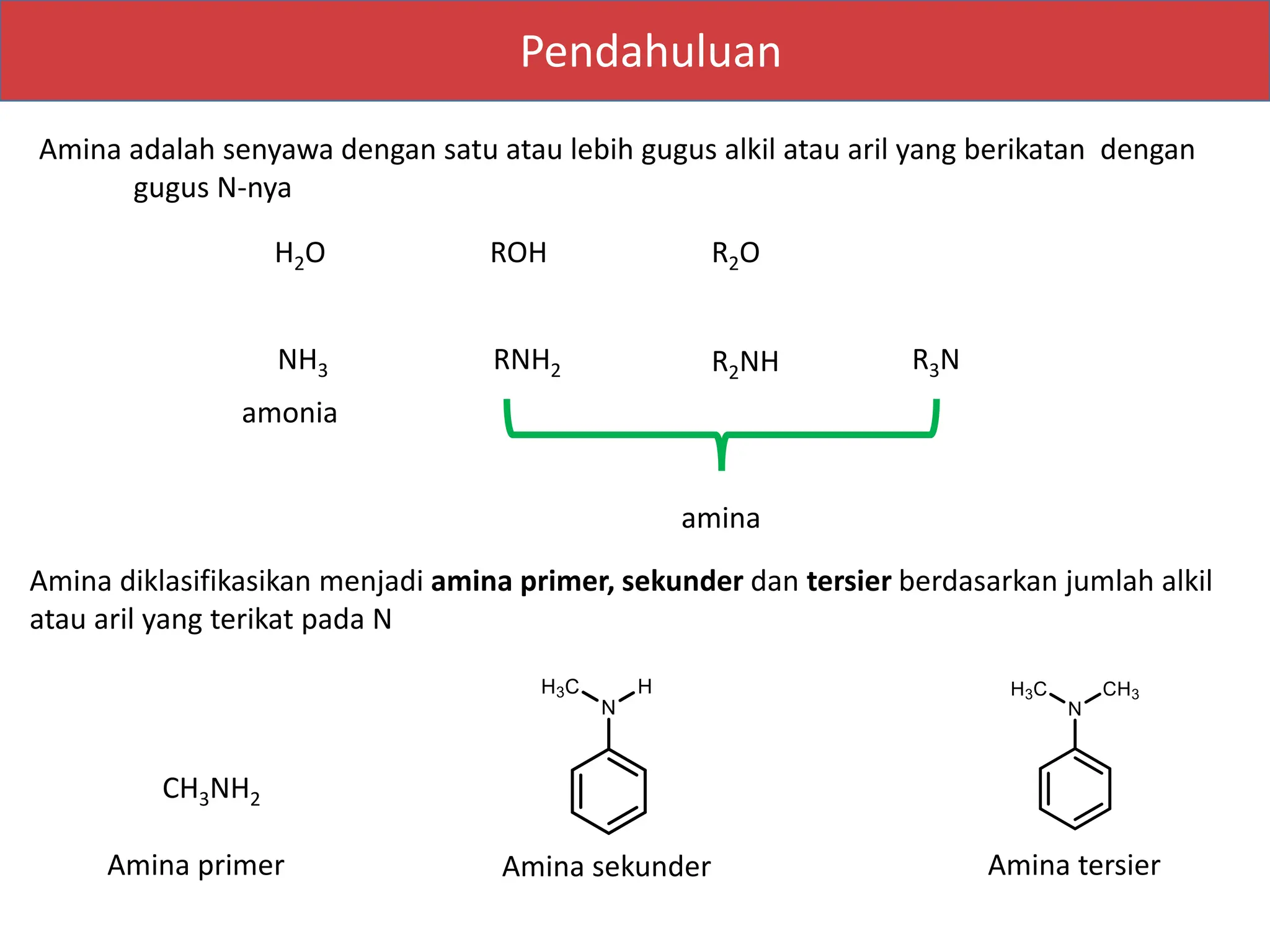 Power Point Amina Dan Turunannya Sifat sifat Amina Dsb pptx