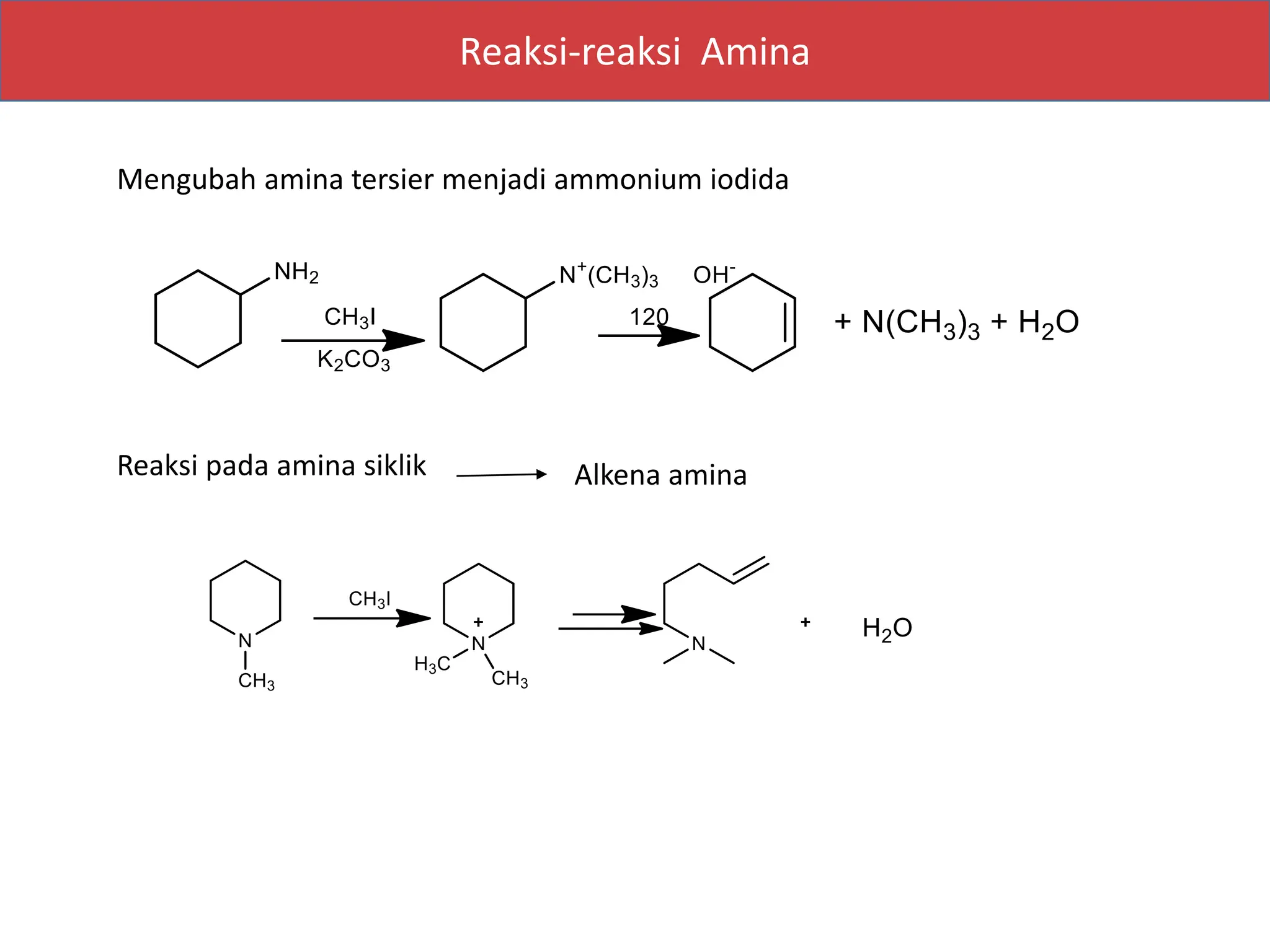 Power Point Amina Dan Turunannya Sifat sifat Amina Dsb pptx