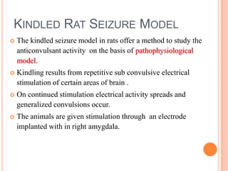 KINDLED RAT SEIZURE MODEL
 The kindled seizure model in rats offer a method to study the
anticonvulsant activity on the basis of pathophysiological
model.
 Kindling results from repetitive sub convulsive electrical
stimulation of certain areas of brain .
 On continued stimulation electrical activity spreads and
generalized convulsions occur.
 The animals are given stimulation through an electrode
implanted with in right amygdala.
 