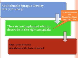 Adult female Sprague-Dawley
rats (270–400 g)
The rats are implanted with an
electrode in the right amygdala
After 1 week electrical
stimulation of the brain is started
Other brain areas
like
Neocortex, hippo
campus in rats
 