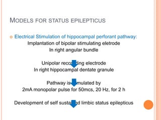 MODELS FOR STATUS EPILEPTICUS
 Electrical Stimulation of hippocampal perforant pathway:
Implantation of bipolar stimulating eletrode
In right angular bundle
Unipolar reccording electrode
In right hippocampal dentate granule
Pathway is stimulated by
2mA monopolar pulse for 50mcs, 20 Hz, for 2 h
Development of self sustained limbic status epilepticus
 
