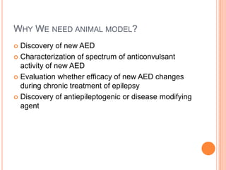 WHY WE NEED ANIMAL MODEL?
 Discovery of new AED
 Characterization of spectrum of anticonvulsant
activity of new AED
 Evaluation whether efficacy of new AED changes
during chronic treatment of epilepsy
 Discovery of antiepileptogenic or disease modifying
agent
 