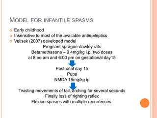 MODEL FOR INFANTILE SPASMS
 Early childhood
 Insensitive to most of the available antiepileptics
 Velisek (2007) developed model
Pregnant sprague-dawley rats
Betamethasone – 0.4mg/kg i.p. two doses
at 8:oo am and 6:00 pm on gestational day15
Postnatal day 15
Pups
NMDA 15mg/kg ip
Twisting movements of tail, arching for several seconds
Finally loss of righting reflex
Flexion spasms with multiple recurrences.
 
