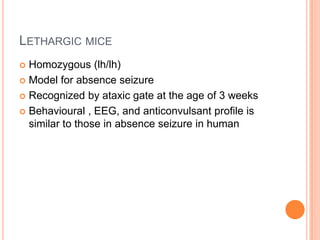 LETHARGIC MICE
 Homozygous (lh/lh)
 Model for absence seizure
 Recognized by ataxic gate at the age of 3 weeks
 Behavioural , EEG, and anticonvulsant profile is
similar to those in absence seizure in human
 