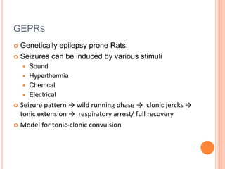 GEPRS
 Genetically epilepsy prone Rats:
 Seizures can be induced by various stimuli
 Sound
 Hyperthermia
 Chemcal
 Electrical
 Seizure pattern → wild running phase → clonic jercks →
tonic extension → respiratory arrest/ full recovery
 Model for tonic-clonic convulsion
 