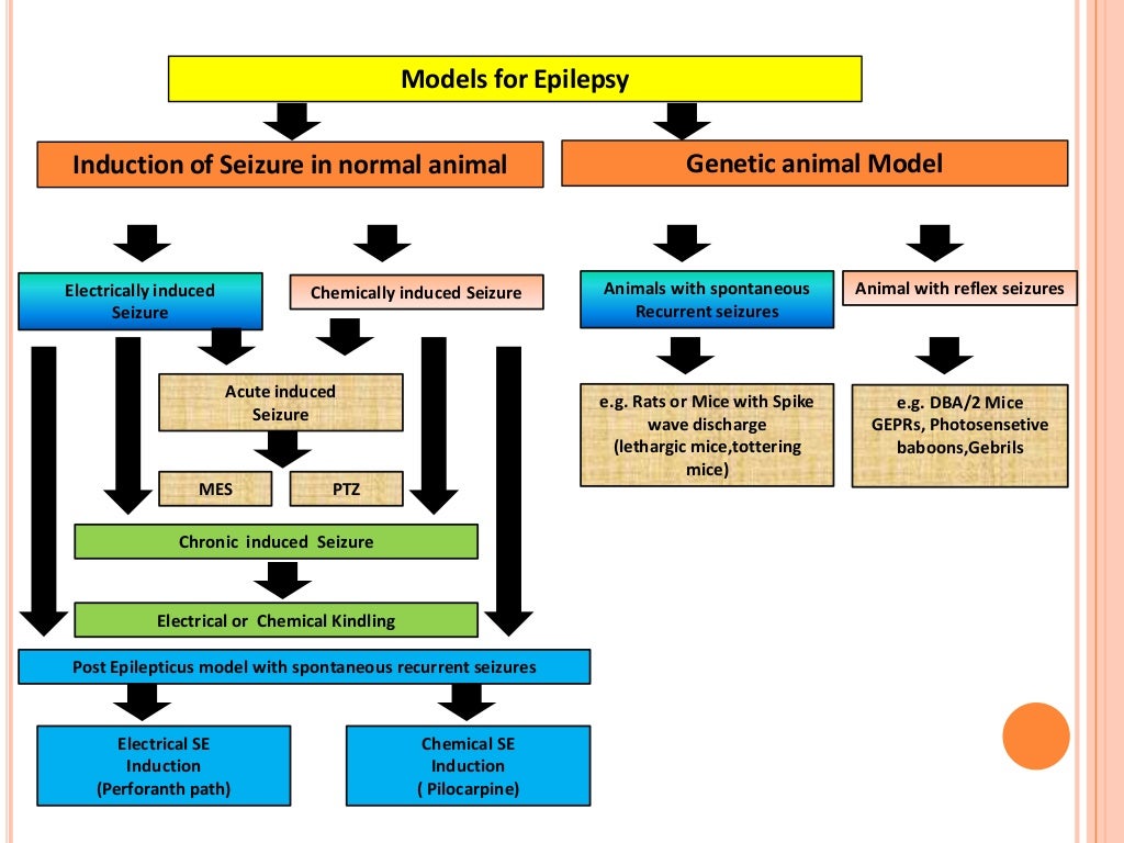 Aminal models for seizure
