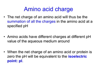 Amino acid charge 
• The net charge of an amino acid will thus be the 
summation of all the charges in the amino acid at a 
specified pH 
• Amino acids have different charges at different pH 
value of the aqueous medium around 
• When the net charge of an amino acid or protein is 
zero the pH will be equivalent to the isoelectric 
point: pI. 
 
