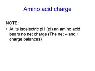 Amino acid charge 
NOTE: 
• At its isoelectric pH (pI) an amino acid 
bears no net charge (The net – and + 
charge balances) 
 