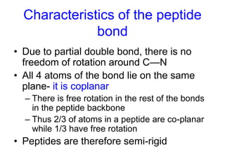 Characteristics of the peptide 
bond 
• Due to partial double bond, there is no 
freedom of rotation around C—N 
• All 4 atoms of the bond lie on the same 
plane- it is coplanar 
– There is free rotation in the rest of the bonds 
in the peptide backbone 
– Thus 2/3 of atoms in a peptide are co-planar 
while 1/3 have free rotation 
• Peptides are therefore semi-rigid 
 