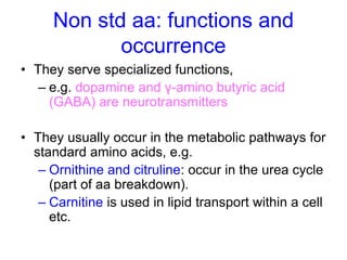Non std aa: functions and 
occurrence 
• They serve specialized functions, 
– e.g. dopamine and γ-amino butyric acid 
(GABA) are neurotransmitters 
• They usually occur in the metabolic pathways for 
standard amino acids, e.g. 
– Ornithine and citruline: occur in the urea cycle 
(part of aa breakdown). 
– Carnitine is used in lipid transport within a cell 
etc. 
 