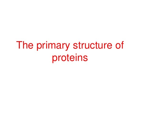 Letter Sequence For Amino Acid Residues In Somatostatin Letter Sequence For Amino Acid Residues In Somatostatin