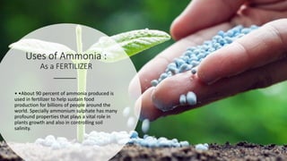 Uses of Ammonia :
As a FERTILIZER
• •About 90 percent of ammonia produced is
used in fertilizer to help sustain food
production for billions of people around the
world. Specially ammonium sulphate has many
profound properties that plays a vital role in
plants growth and also in controlling soil
salinity.
 