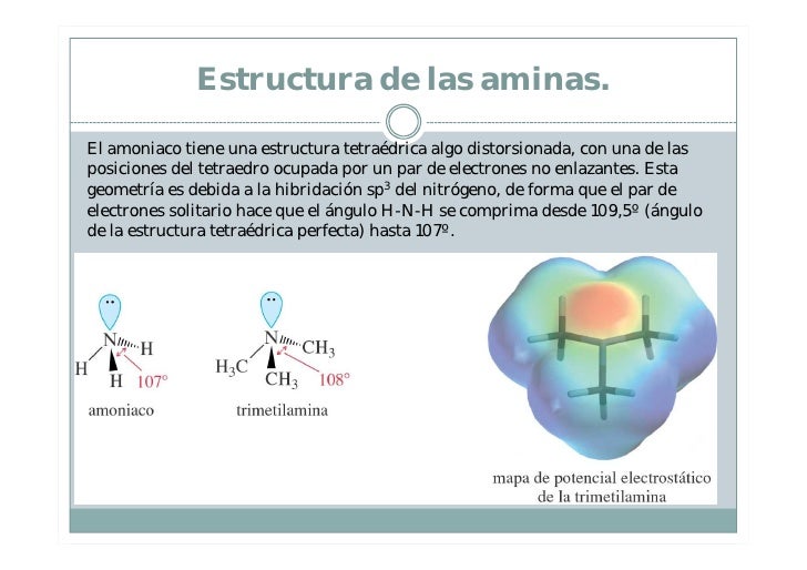 Aminas