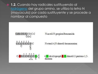  1.2. Cuando hay radicales sustituyendo al
hidrógeno del grupo amino, se utiliza la letra N
(mayúscula) por cada sustituyente y se procede a
nombrar al compuesto
 
