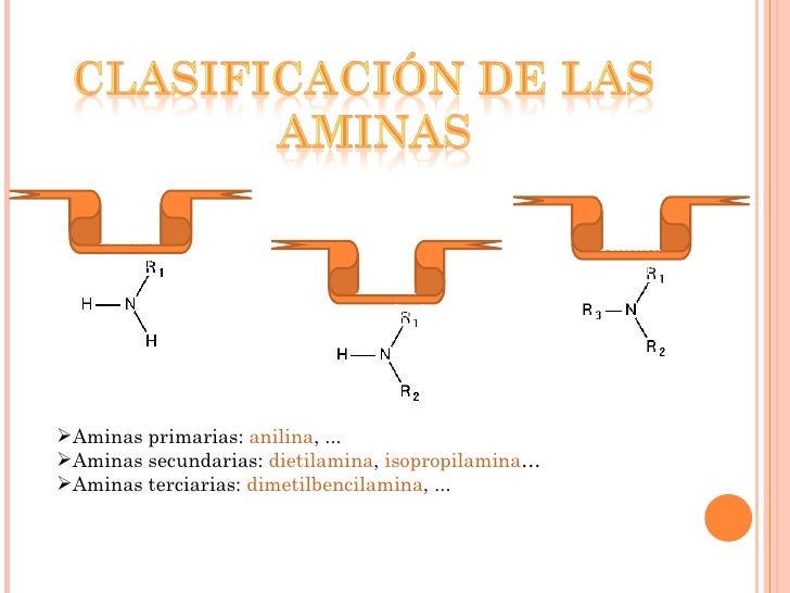 Aminas Propiedades Fisicas Y Quimicas abstractor