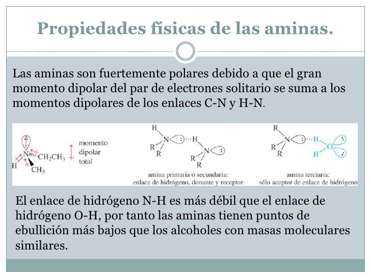 Aminas