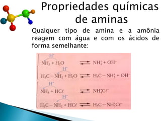 Propriedades químicas
de aminas
Qualquer tipo de amina e a amônia
reagem com água e com os ácidos de
forma semelhante:
 