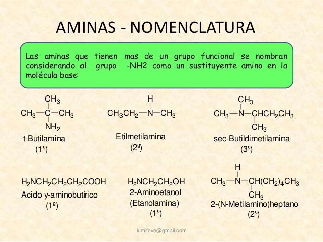Aminas
