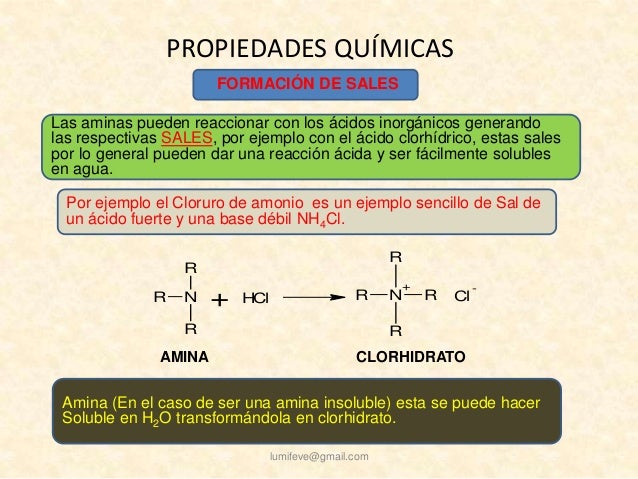 Aminas