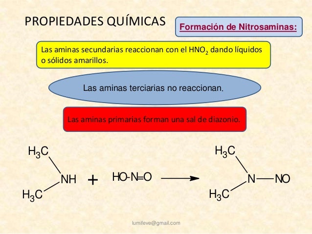Aminas