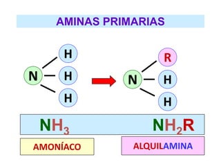 AMINAS PRIMARIAS
N
H
H
H
N
R
H
H
NH3 NH2R
AMONÍACO ALQUILAMINA
 