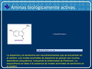 Aminas biológicamente activas
La dopamina y la serotonina son neurotransmisores que se encuentran en
el cerebro. Los niveles anormales de dopamina se asocian con muchos
desórdenes pisquiátricos, incluyendo la enfermedad de Parkinson. La
esquizofrenia se debe a la presencia de niveles anormales de serotonina en
el cerebro.
« Chem3D Embed »
 