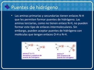 Puentes de hidrógeno
• Las aminas primarias y secundarias tienen enlaces N-H
que les permiten formar puentes de hidrógeno. Las
aminas terciarias, como no tienen enlace N-H, no pueden
formar este tipo de enlaces intermoleculares. Sin
embargo, pueden aceptar puentes de hidrógeno con
moléculas que tengan enlaces O-H o N-H.
 