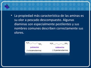 • La propiedad más característica de las aminas es
su olor a pescado descompuesto. Algunas
diaminas son especialmente pestilentes y sus
nombres comunes describen correctamente sus
olores.
 