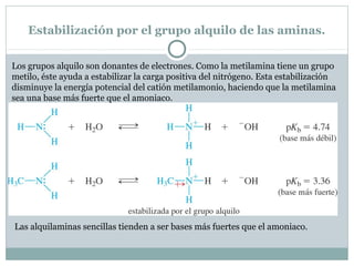 Estabilización por el grupo alquilo de las aminas.
Los grupos alquilo son donantes de electrones. Como la metilamina tiene un grupo
metilo, éste ayuda a estabilizar la carga positiva del nitrógeno. Esta estabilización
disminuye la energía potencial del catión metilamonio, haciendo que la metilamina
sea una base más fuerte que el amoniaco.
Las alquilaminas sencillas tienden a ser bases más fuertes que el amoniaco.
 