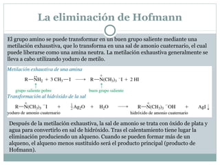 La eliminación de Hofmann
El grupo amino se puede transformar en un buen grupo saliente mediante una
metilación exhaustiva, que lo transforma en una sal de amonio cuaternario, el cual
puede liberarse como una amina neutra. La metilación exhaustiva generalmente se
lleva a cabo utilizando yoduro de metilo.
Después de la metilación exhaustiva, la sal de amonio se trata con óxido de plata y
agua para convertirlo en sal de hidróxido. Tras el calentamiento tiene lugar la
eliminación produciendo un alqueno. Cuando se pueden formar más de un
alqueno, el alqueno menos sustituido será el producto principal (producto de
Hofmann).
 