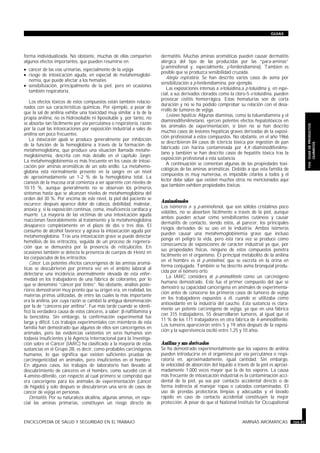 forma individualizada. No obstante, muchas de ellas comparten
algunos efectos importantes, que pueden resumirse en:
· cáncer de las vías urinarias, especialmente de la vejiga
· riesgo de intoxicación aguda, en especial de metahemoglobi-
nemia, que puede afectar a los hematíes
· sensibilización, principalmente de la piel, pero en ocasiones
también respiratoria.
Los efectos tóxicos de estos compuestos están también relacio-
nados con sus características químicas. Por ejemplo, a pesar de
que la sal de anilina exhibe una toxicidad muy similar a la de la
propia anilina, no es hidrosoluble ni liposoluble y, por tanto, no
se absorbe tan fácilmente por vía percutánea o respiratoria, razón
por la cual las intoxicaciones por exposición industrial a sales de
anilina son poco frecuentes.
La intoxicación aguda se produce generalmente por inhibición
de la función de la hemoglobina a través de la formación de
metahemoglobina, que produce una situación llamada metahe-
moglobinemia, descrita con más detalle en el capítulo Sangre.
La metahemoglobinemia es más frecuente en los casos de intoxi-
cación por aminas aromáticas de un solo anillo. La metahemo-
globina está normalmente presente en la sangre en un nivel
de aproximadamente un 1-2 % de la hemoglobina total. La
cianosis de la mucosa oral comienza a ser aparente con niveles de
10-15 %, aunque generalmente no se observan los primeros
síntomas hasta que se alcanzan niveles de metahemoglobina del
orden del 30 %. Por encima de este nivel, la piel del paciente se
oscurece; después aparece dolor de cabeza, debilidad, malestar,
anoxia y, si la exposición continúa, coma, insuficiencia cardíaca y
muerte. La mayoría de las víctimas de una intoxicación aguda
reaccionan favorablemente al tratamiento y la metahemoglobina
desaparece completamente en el plazo de dos o tres días. El
consumo de alcohol favorece y agrava la intoxicación aguda por
metahemoglobina. Tras una intoxicación grave se puede detectar
hemólisis de los eritrocitos, seguida de un proceso de regenera-
ción que se demuestra por la presencia de reticulocitos. En
ocasiones también se detecta la presencia de cuerpos de Heinz en
los corpúsculos de los eritrocitos.
Cáncer. Los potentes efectos cancerígenos de las aminas aromá-
ticas se descubrieron por primera vez en el ámbito laboral al
detectarse una incidencia anormalmente elevada de esta enfer-
medad en los trabajadores de una fábrica de colorantes, por lo
que se denominó “cáncer por tintes”. No obstante, análisis poste-
riores demostraron muy pronto que su origen era, en realidad, las
materias primas utilizadas, de entre las cuales la más importante
era la anilina, por cuya razón se cambió la antigua denominación
por la de “cánceres por anilina”. Fue más tarde cuando se identi-
ficó la verdadera causa de estos cánceres, a saber: b-naftilamina y
la bencidina. Sin embargo, la confirmación experimental fue
larga y difícil. Los trabajos experimentales con miembros de esta
familia han demostrado que algunos de ellos son cancerígenos en
animales, pero las evidencias existentes en seres humanos son
todavía insuficientes y la Agencia Internacional para la Investiga-
ción sobre el Cáncer (IARC) ha clasificado a la mayoría de estas
sustancias en el Grupo 2B, es decir, como probables carcinógenos
humanos, lo que significa que existen suficientes pruebas de
carcinogenicidad en animales, pero insuficientes en el hombre.
En algunos casos, los trabajos de laboratorio han llevado al
descubrimiento de cánceres en el hombre, como sucedió con el
4-amino-difenilo, con respecto al cual primero se comprobó que
era cancerígeno para los animales de experimentación (cáncer
de hígado) y solo después se descubrieron una serie de casos de
cáncer de vejiga en personas.
Dermatitis. Por su naturaleza alcalina, algunas aminas, en espe-
cial las aminas primarias, constituyen un riesgo directo de
dermatitis. Muchas aminas aromáticas pueden causar dermatitis
alérgica del tipo de las producidas por las “para-aminas”
(p-aminofenol y, especialmente, p-fenilendiamina). También es
posible que se produzca sensibilidad cruzada.
Alergia respiratoria. Se han descrito varios casos de asma por
sensibilización a p-fenilendiamina, por ejemplo.
Las exposiciones intensas a o-toluidina,a p-toluidina y, en espe-
cial, a sus derivados clorados como la cloro-5-o-toluidina, pueden
provocar cistitis hemorrágica. Estas hematurias son de corta
duración y no se ha podido comprobar su relación con el desa-
rrollo de tumores de vejiga.
Lesiones hepáticas. Algunas diaminas, como la toluendiamina y el
diaminodifenilmetano, ejercen potentes efectos hepatotóxicos en
los animales de experimentación, si bien no se han descrito
muchos casos de lesiones hepáticas graves derivadas de la exposi-
ción profesional a estos compuestos. No obstante, en el año 1966
se describieron 84 casos de ictericia tóxica por ingestión de pan
fabricado con harina contaminada por 4,4’-diaminodifenilme-
tano y también se han descrito casos de hepatitis tóxica tras la
exposición profesional a esta sustancia.
A continuación se comentan algunas de las propiedades toxi-
cológicas de las aminas aromáticas. Debido a que esta familia de
compuestos es muy numerosa, es imposible citarlos a todos y el
lector debe saber que existen muchos otros no mencionados aquí
que también exhiben propiedades tóxicas.
Aminofenoles
Los isómeros o- y p-aminofenol, que son sólidos cristalinos poco
volátiles, no se absorben fácilmente a través de la piel, aunque
ambos pueden actuar como sensibilizantes cutáneos y causar
dermatitis de contacto, siendo éstos, al parecer, los principales
riesgos derivados de su uso en la industria. Ambos isómeros
pueden causar una metahemoglobinemia grave que incluso
ponga en peligro la vida, pero ésta rara vez se produce como
consecuencia de exposiciones de carácter industrial ya que, por
sus propiedades físicas, ninguno de estos compuestos penetra
fácilmente en el organismo. El principal metabolito de la anilina
en el hombre es el p-aminofenol, que se excreta en la orina en
forma conjugada. También se ha descrito asma bronquial produ-
cida por el isómero orto.
La IARC considera al p-aminodifenilo como un carcinógeno
humano demostrado. Este fue el primer compuesto del que se
demostró su capacidad cancerígena en animales de experimenta-
ción antes de conocerse los primeros casos de tumores de vejiga
en los trabajadores expuestos a él, cuando se utilizaba como
antioxidante en la industria del caucho. Esta sustancia es clara-
mente un potente carcinógeno de vejiga, ya que en una fábrica
con 315 trabajadores, 55 desarrollaron tumores, al igual que el
11 % de los 171 trabajadores en otra fábrica de 4-aminodifenilo.
Los tumores aparecieron entre 5 y 19 años después de la exposi-
ción y la supervivencia osciló entre 1,25 y 10 años.
Anilina y sus derivados
Se ha demostrado experimentalmente que los vapores de anilina
pueden introducirse en el organismo por vía percutánea o respi-
ratoria en, aproximadamente, igual cantidad. Sin embargo,
la velocidad de absorción del líquido a través de la piel es aproxi-
madamente 1.000 veces mayor que la de los vapores. La causa
más frecuente de intoxicación industrial es la contaminación acci-
dental de la piel, ya sea por contacto accidental directo o de
forma indirecta al manejar ropas o calzados contaminados. El
uso de prendas protectoras limpias y adecuadas y el lavado
rápido en caso de contacto accidental constituyen la mejor
protección. A pesar de que el National Institute for Occupational
ENCICLOPEDIA DE SALUD Y SEGURIDAD EN EL TRABAJO AMINAS AROMATICAS 104.97
GUIAS
104.GUIADEPRODUCTOS
QUIMICOS
 