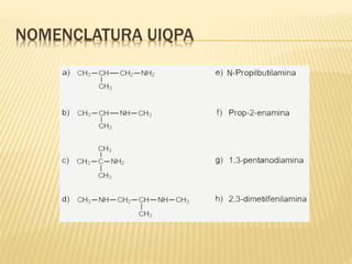 NOMENCLATURA UIQPA
 