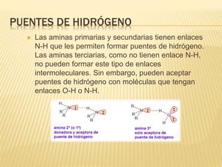 PUENTES DE HIDRÓGENO
 Las aminas primarias y secundarias tienen enlaces
N-H que les permiten formar puentes de hidrógeno.
Las aminas terciarias, como no tienen enlace N-H,
no pueden formar este tipo de enlaces
intermoleculares. Sin embargo, pueden aceptar
puentes de hidrógeno con moléculas que tengan
enlaces O-H o N-H.
 