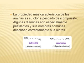  La propiedad más característica de las
aminas es su olor a pescado descompuesto.
Algunas diaminas son especialmente
pestilentes y sus nombres comunes
describen correctamente sus olores.
 