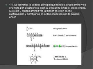  1.1. Se identifica la cadena principal que tenga el grupo amino y se
enumera por el carbono al cual se encuentra unido el grupo amino.
Si existe 2 grupos aminos ver la menor posición de los
sustituyentes y nombrarlos en orden alfabético con la palabra
amina
 