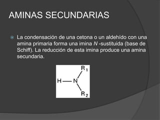 AMINAS SECUNDARIAS
 La condensación de una cetona o un aldehído con una
amina primaria forma una imina N -sustituida (base de
Schiff). La reducción de esta imina produce una amina
secundaria.
 