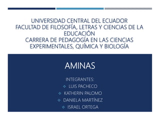 UNIVERSIDAD CENTRAL DEL ECUADOR
FACULTAD DE FILOSOFÍA, LETRAS Y CIENCIAS DE LA
EDUCACIÓN
CARRERA DE PEDAGOGÍA EN LAS CIENCIAS
EXPERIMENTALES, QUÍMICA Y BIOLOGÍA
AMINAS
INTEGRANTES:
 LUIS PACHECO
 KATHERIN PALOMO
 DANIELA MARTÍNEZ
 ISRAEL ORTEGA
 