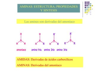 AMINAS: ESTRUCTURA; PROPIEDADES Y SINTESIS Las aminas son derivadas del amoniaco AMIDAS: Derivadas de ácidos carboxílicos AMINAS: Derivadas del amoniaco 