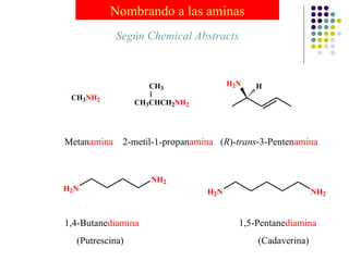 Nombrando a las aminas Metan amina  2-metil-1-propan amina  ( R )- trans -3-Penten amina Según Chemical Abstracts 1,4-Butane diamina  1,5-Pentane diamina  (Putrescina)  (Cadaverina) 