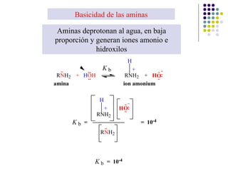 Basicidad de las aminas Aminas deprotonan al agua, en baja proporción y generan iones amonio e hidroxilos 